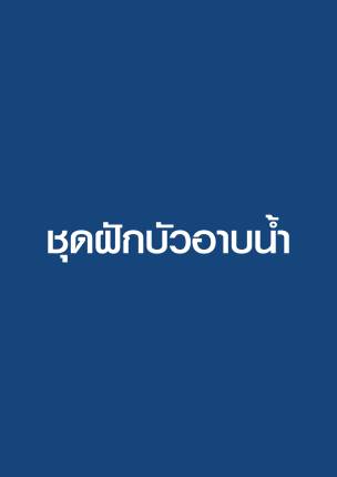 ชุดฝักบัวอาบน้ำ | แสนดี สุขภัณฑ์ บจก.